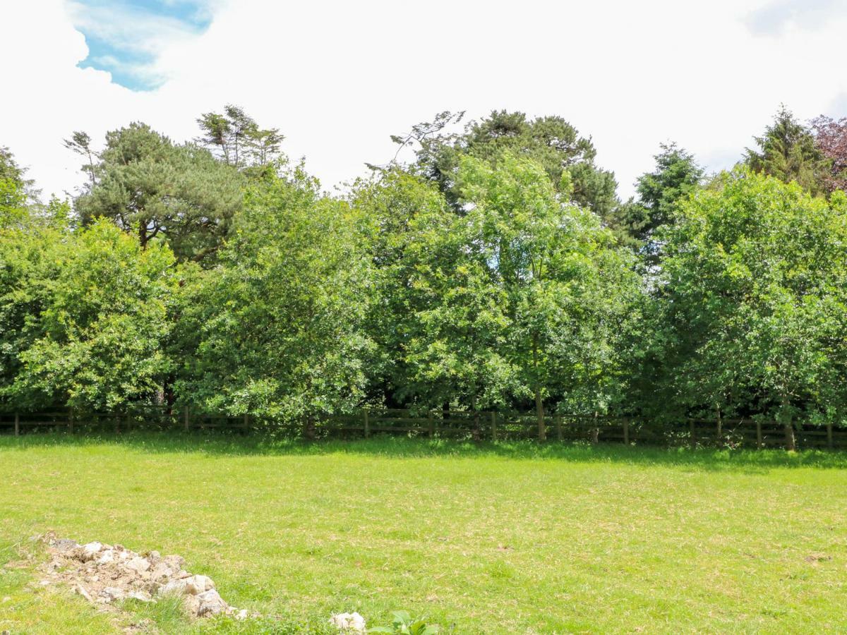The Old White Cottage Shillelagh Екстер'єр фото